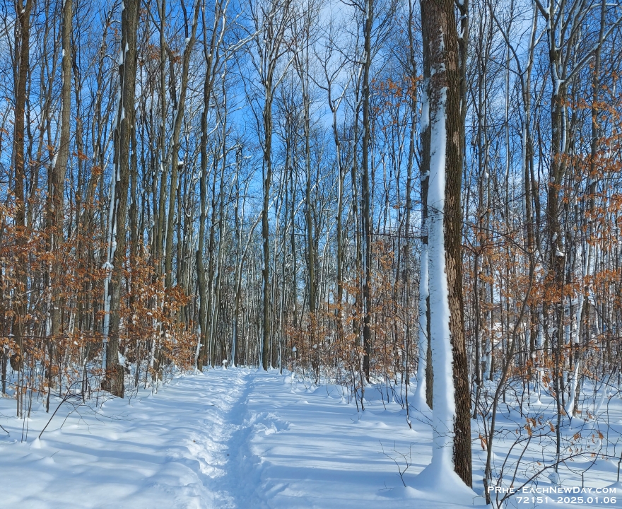72151CrLe - Walking along a snowy trail in Westridge Park